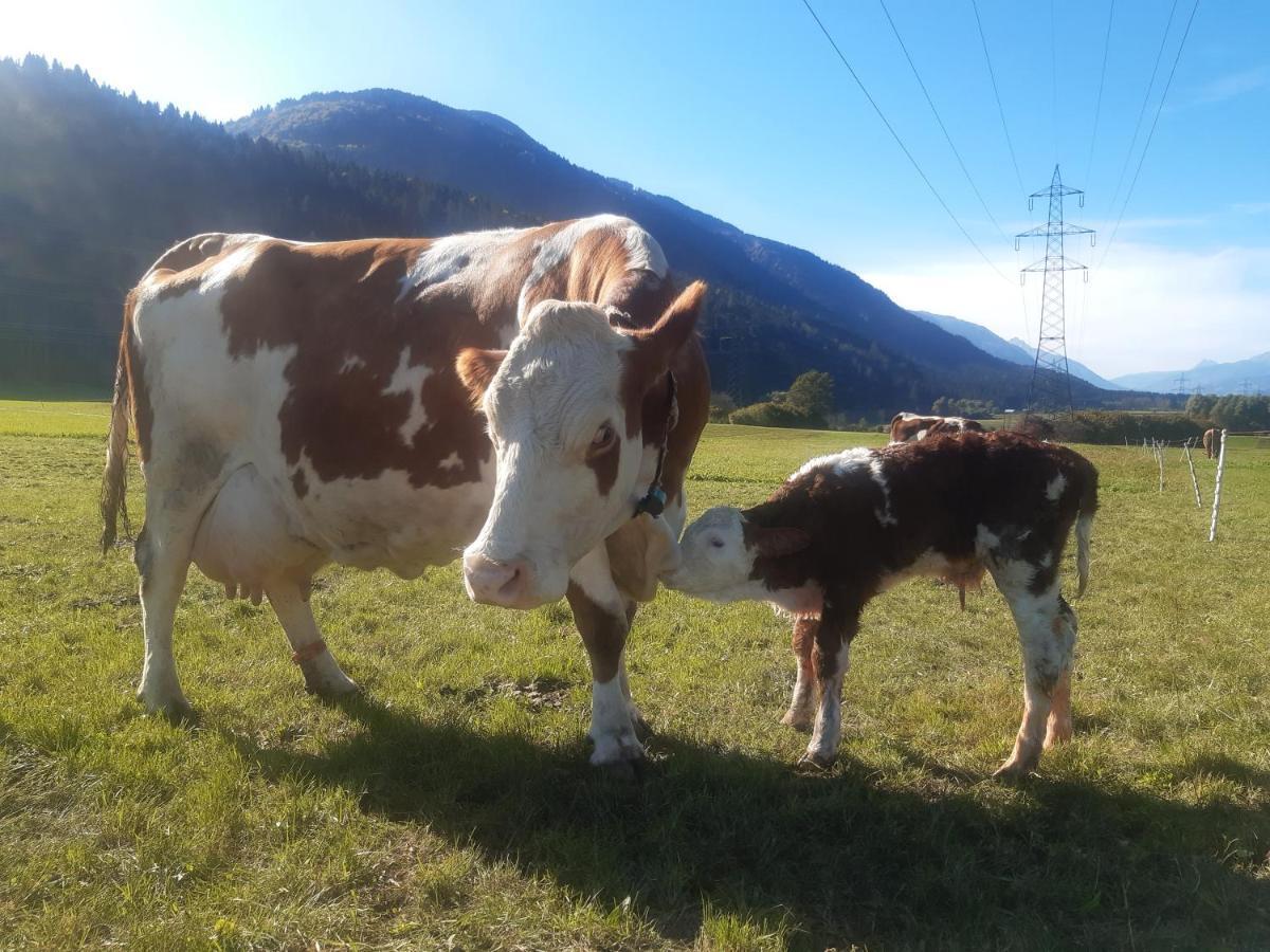 Bauernhof Oberloeffele Lägenhet Jenig Exteriör bild